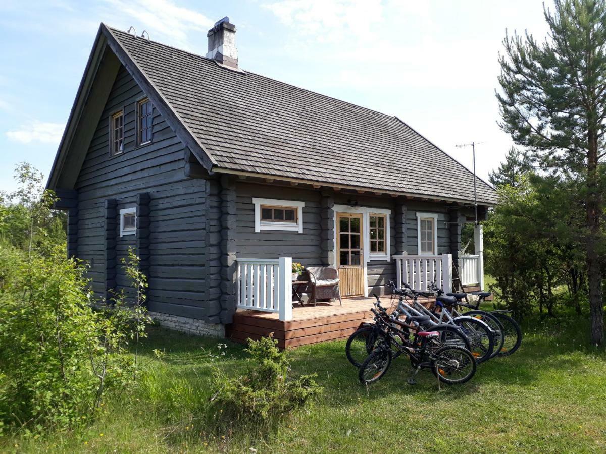 Toominga Seaside Cottage Koiguste Dış mekan fotoğraf